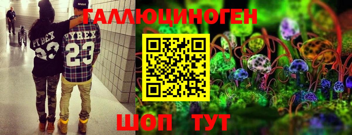 Приморско-Ахтарск  Галлюциногенные грибы прущие грибы  Псилоцибиновые грибы прущие грибы  Вход с VPN 