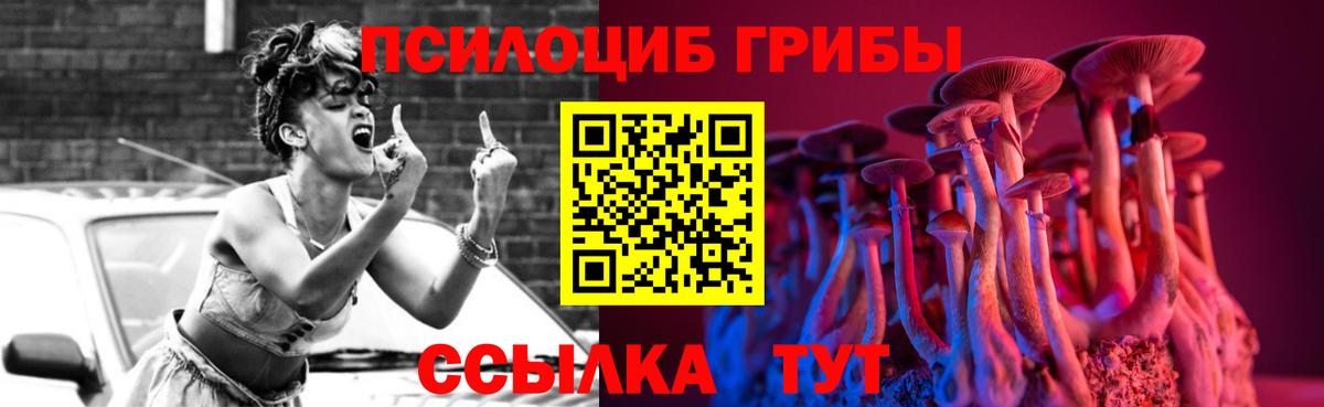 Псилоцибиновые грибы Cubensis Приморско-Ахтарск